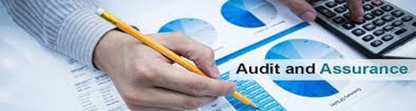 Auditing